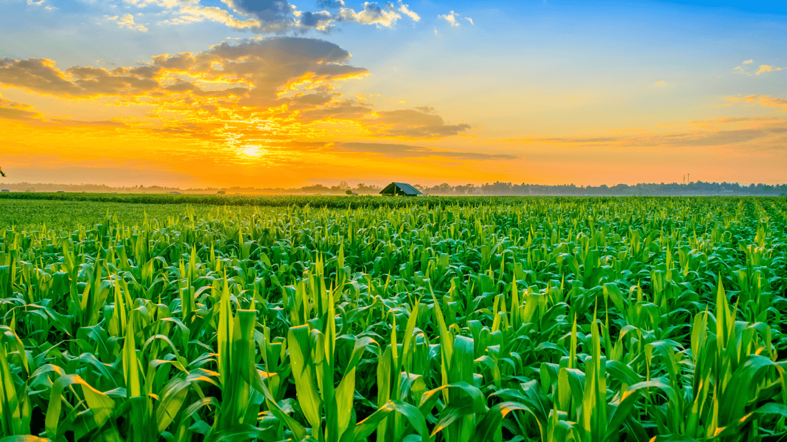 Thinking_About_Splitting_Off_Land__Here_s_What_Iowa_Requires